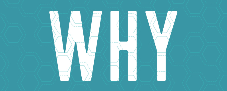 Learning the Why