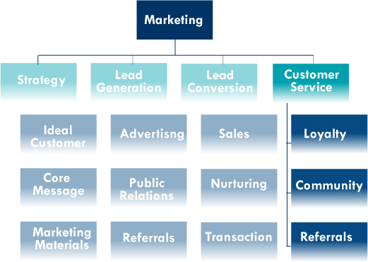 Marketing Organization Chart Customer Service