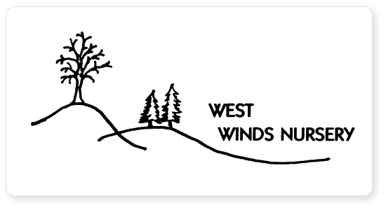 WestWinds Graphic2
