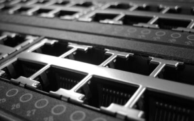 Shared Hosting or Dedicated Hosting: What’s Best?