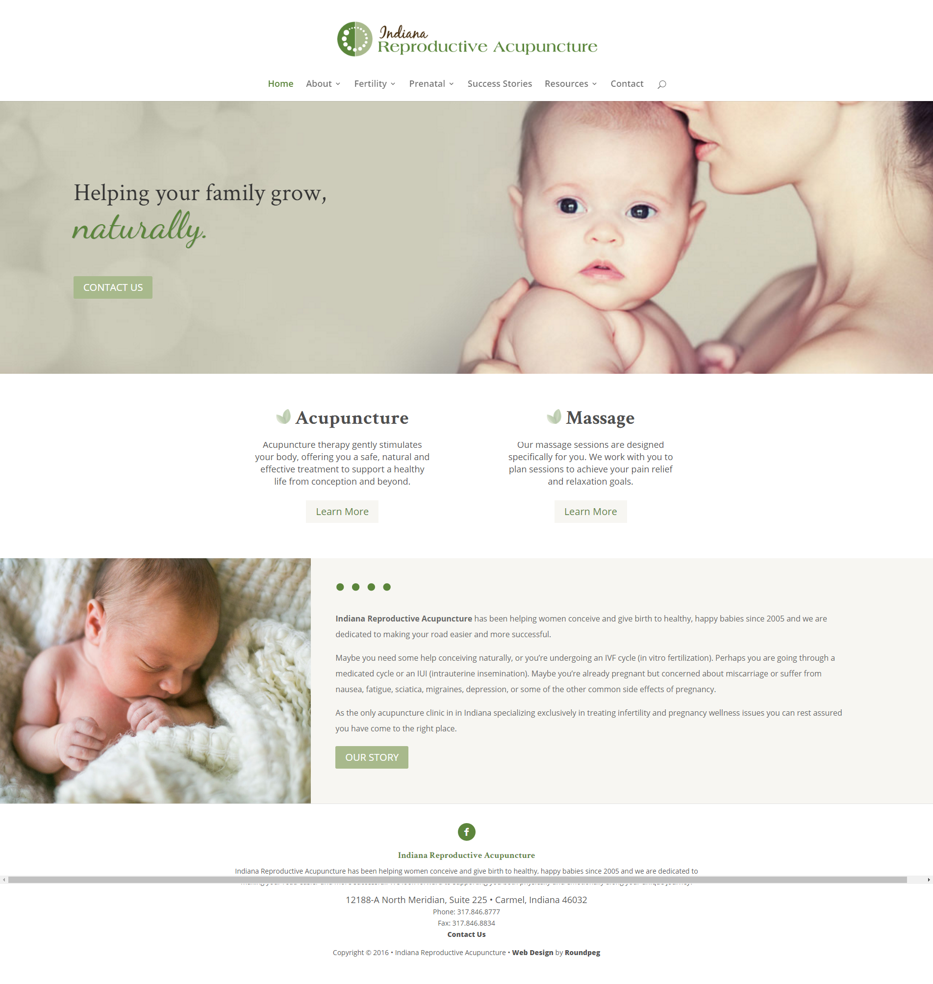 Web design example home-indiana-reproductive-acupuncture 