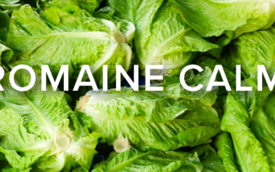 Romaine Calm: Successfully Bouncing Back from a Company Crisis