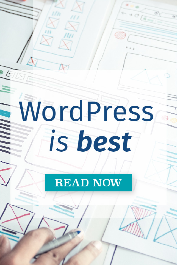 wordpress is best updated pin